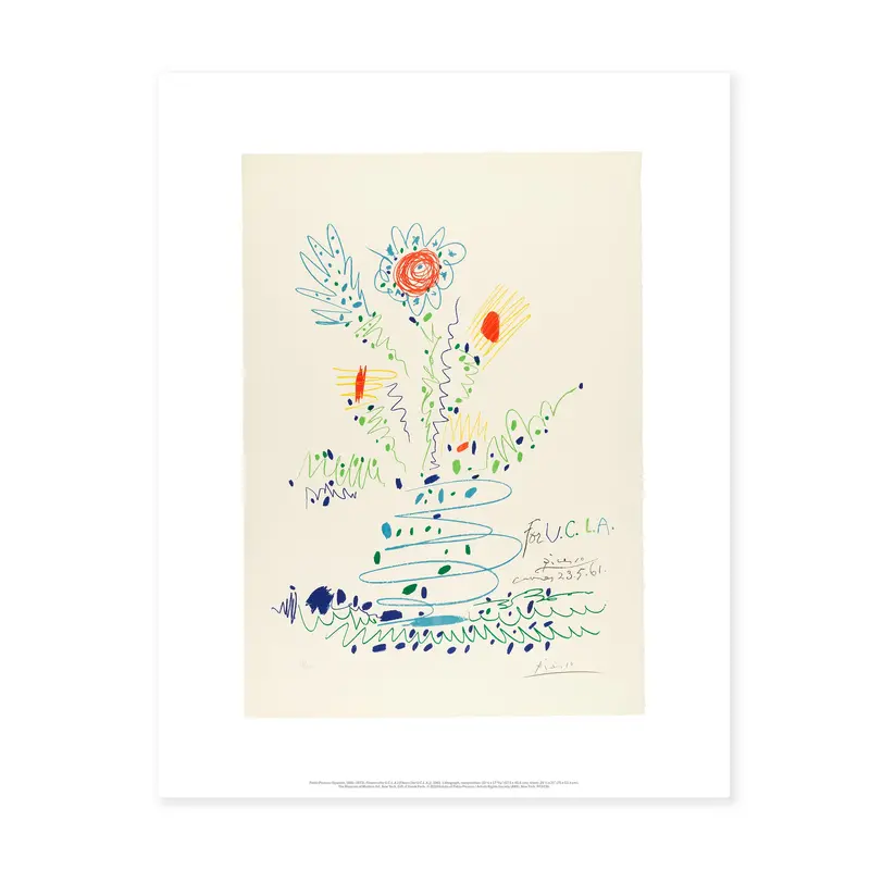Picasso: Flowers (For U.C.L.A.) Print