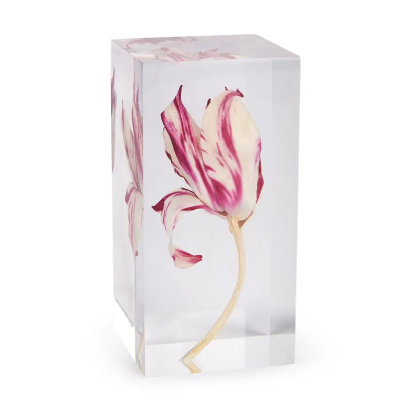 Rare Tulip Objet dArt