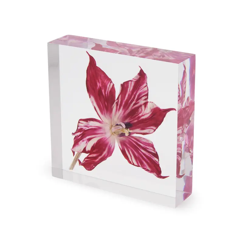 Rare Tulip Flat Objet dArt