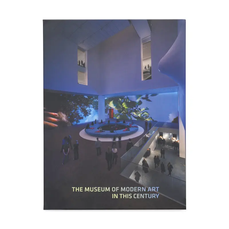 The Museum of Modern Art in This Century - Paperback
