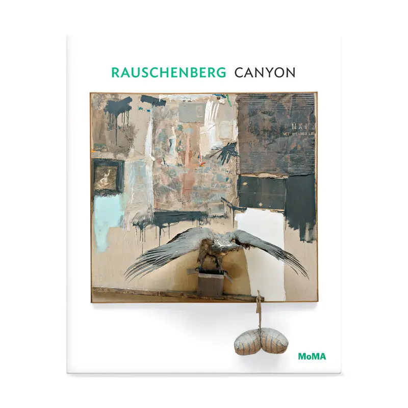 Rauschenberg: Canyon, One on One Series - Paperback