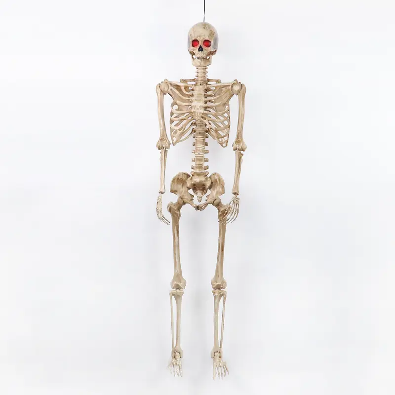 5FT Prelit Skeleton
