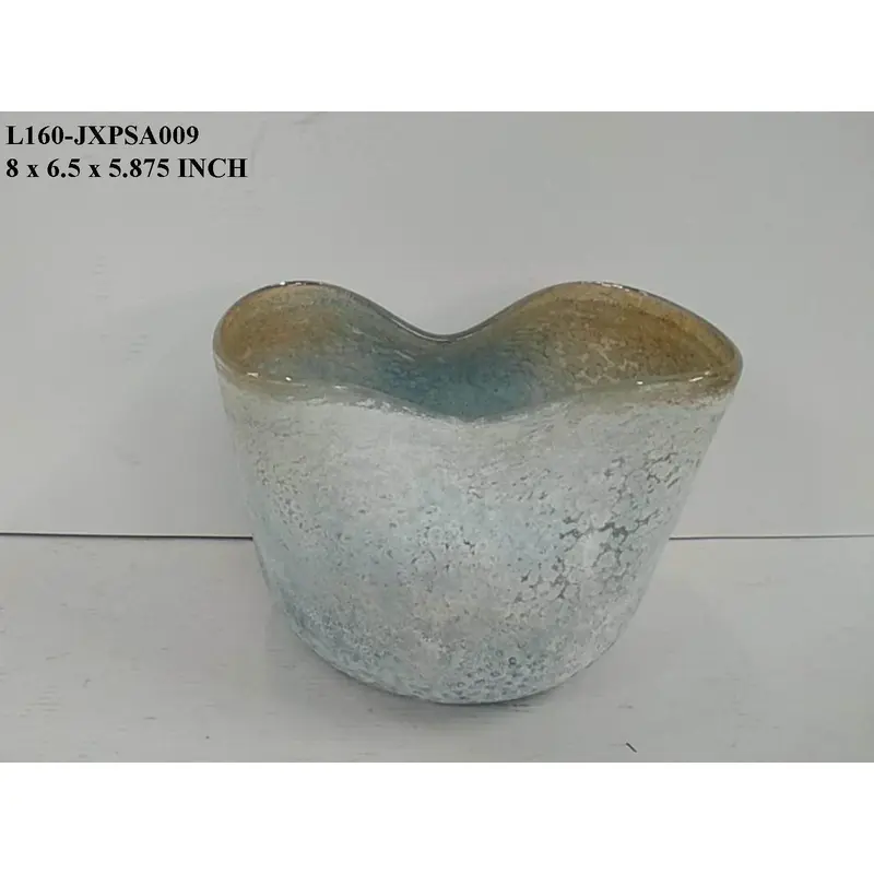 Abstract Shape Glass Vase