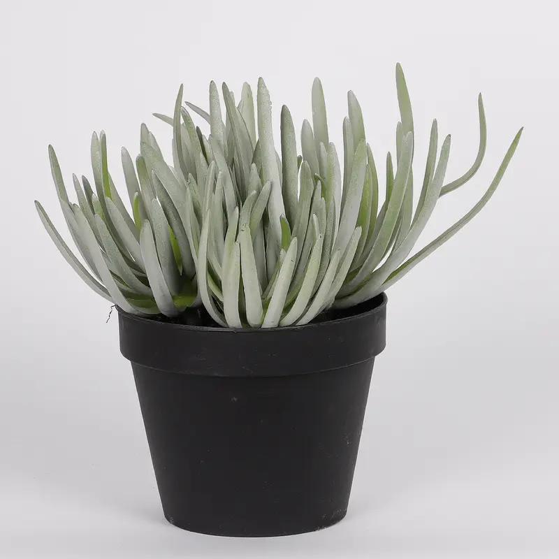 9 X 7.5 X 8"H ARTIFICIAL GREENERY DECOR