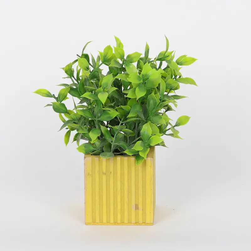 Spring Greeneries on Square Pot