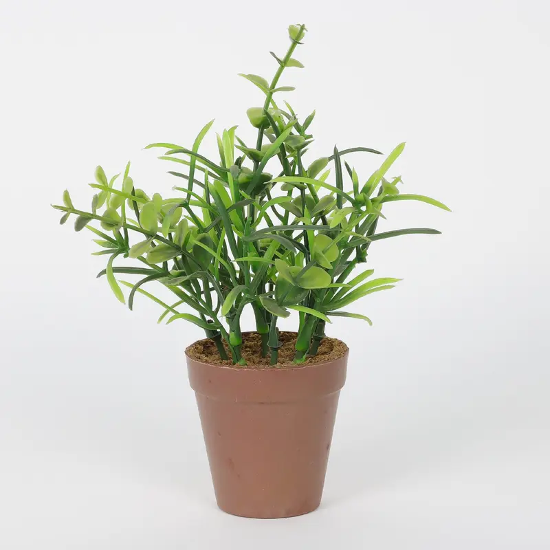 Spring Greenery on Pot