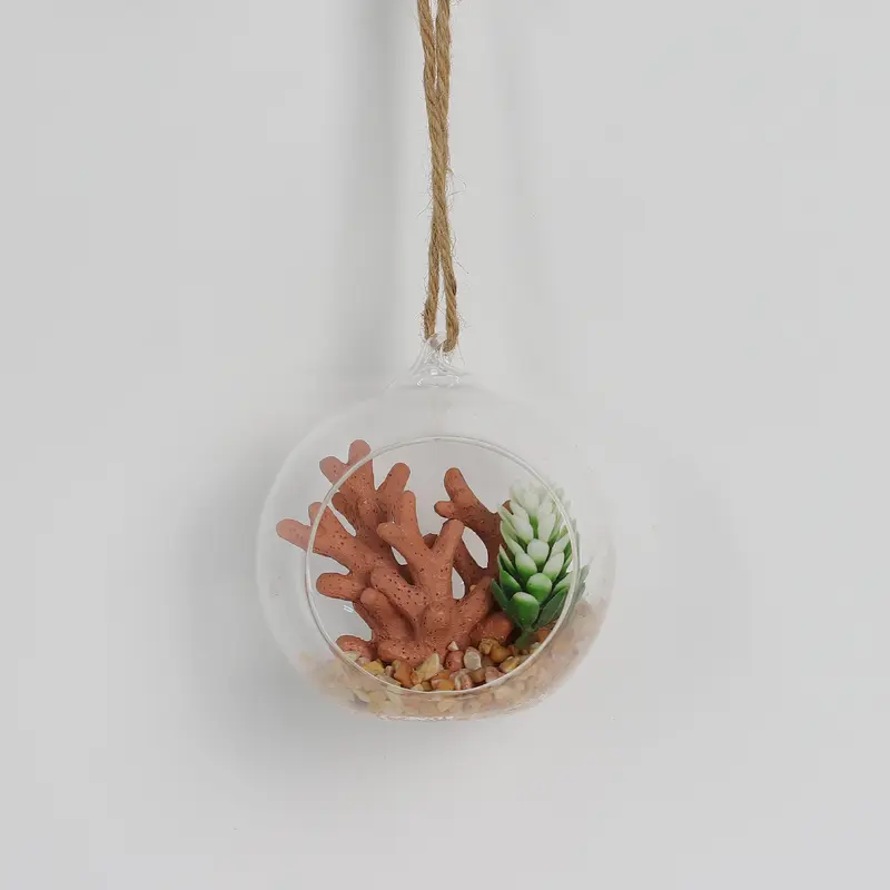Spring Hanging Coral Plant Landscape
