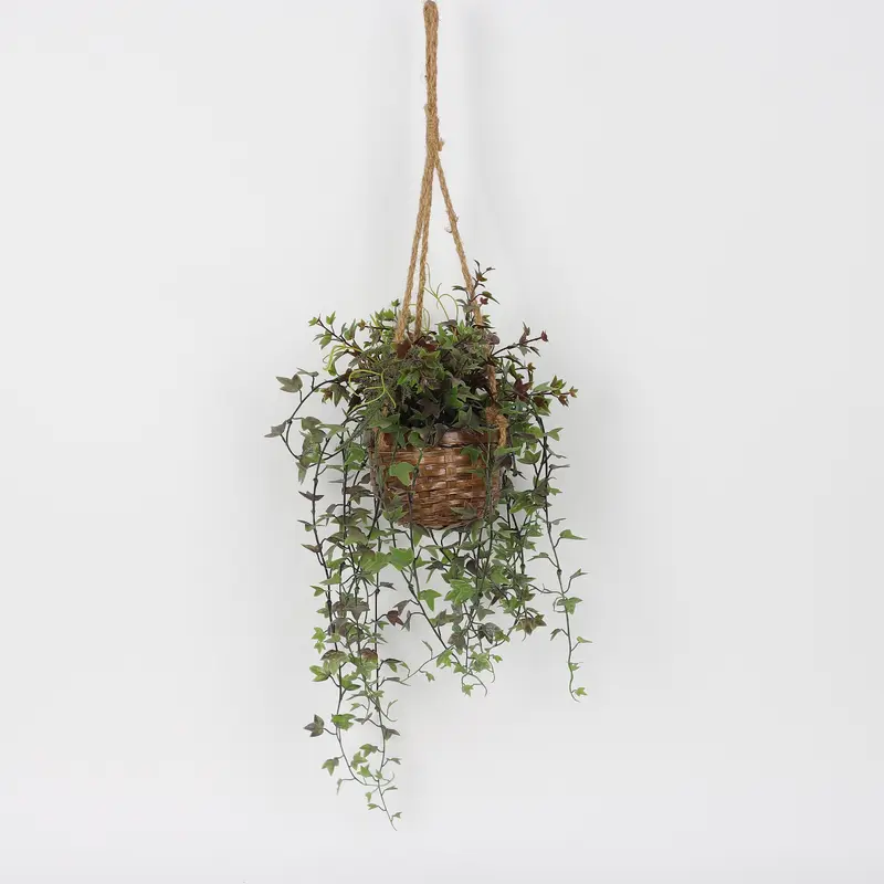 Spring Hanging Plant on Rope base