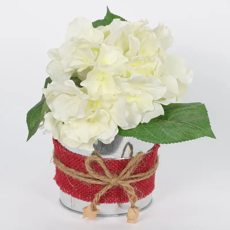 Spring Hydrangea With Tin Pot