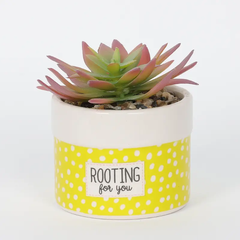 Spring Single Plant on Round Base