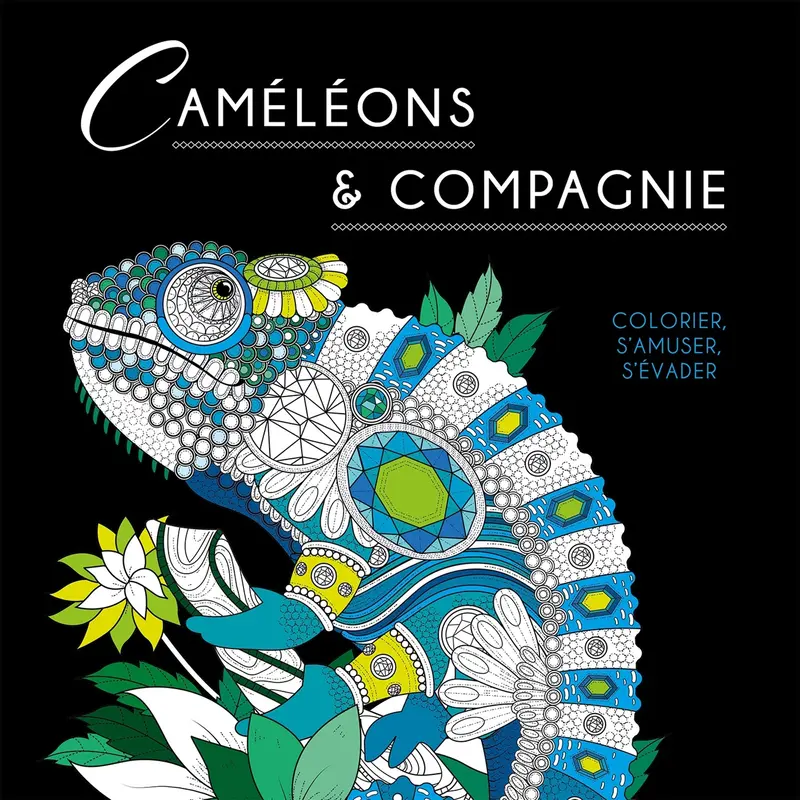 Black coloriage : Camlons & Compagnie - French Ed.