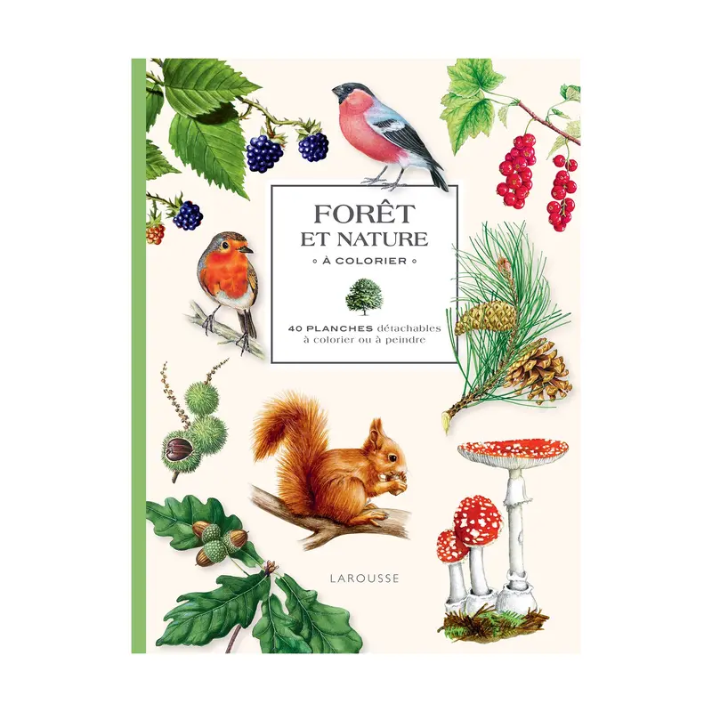 Fort et nature  colorier : 40 planches dtachables  colorier ou  peindre - French Ed.
