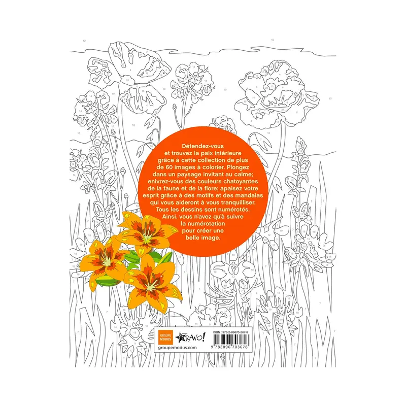 Coloriage par numros : Znitude - French Ed.