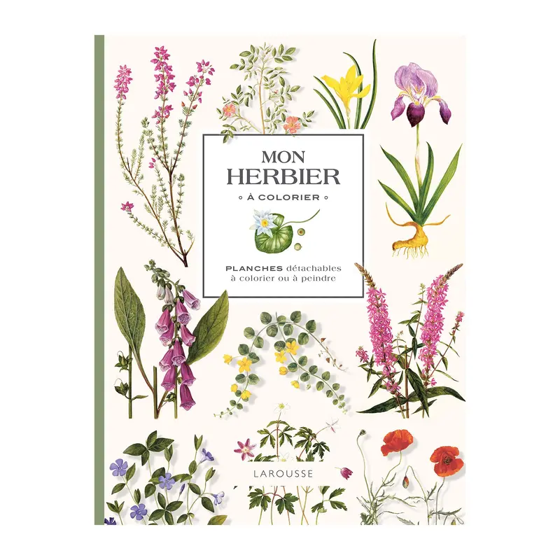 Mon herbier  colorier - French Ed.