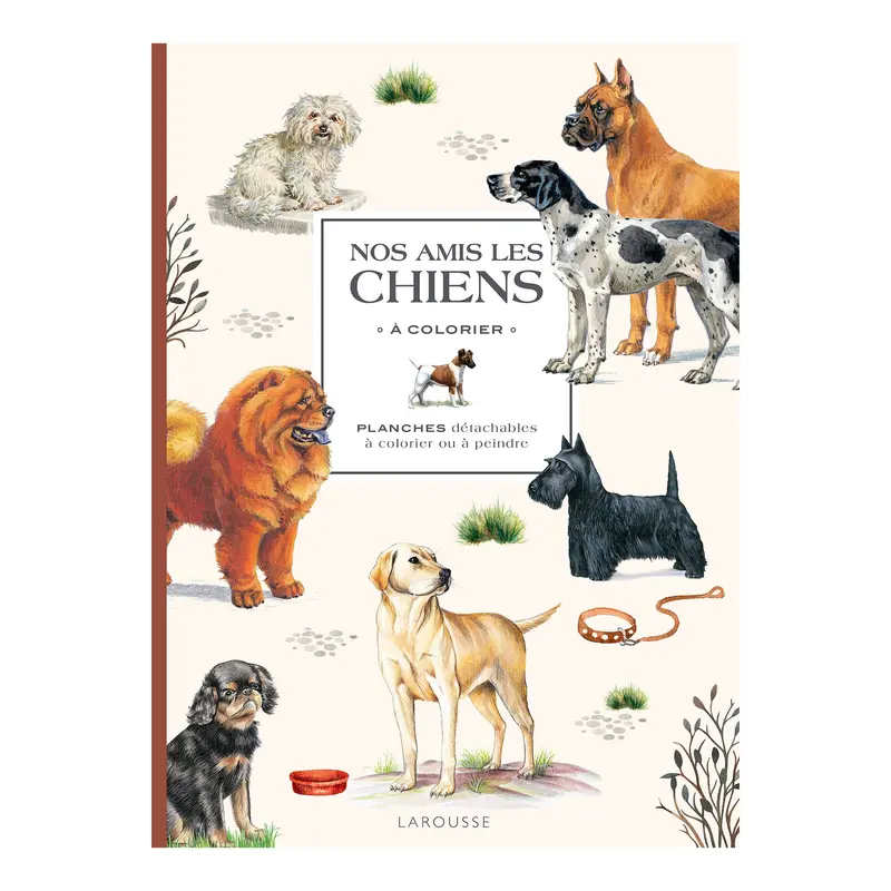 Nos amis les chiens  colorier - French Ed.