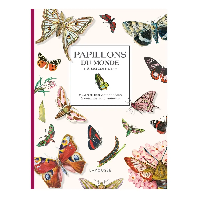Papillons du monde  colorier - French Ed.