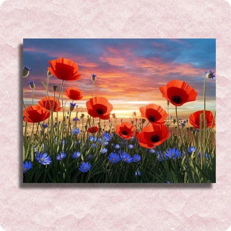 Poppies at Sunset