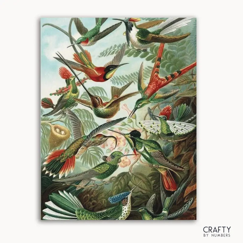 Hummingbirds - Ernst Haeckel