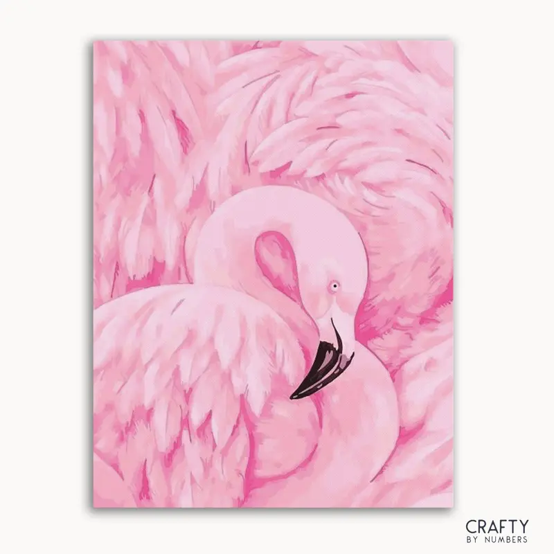 Pink Crane Bird