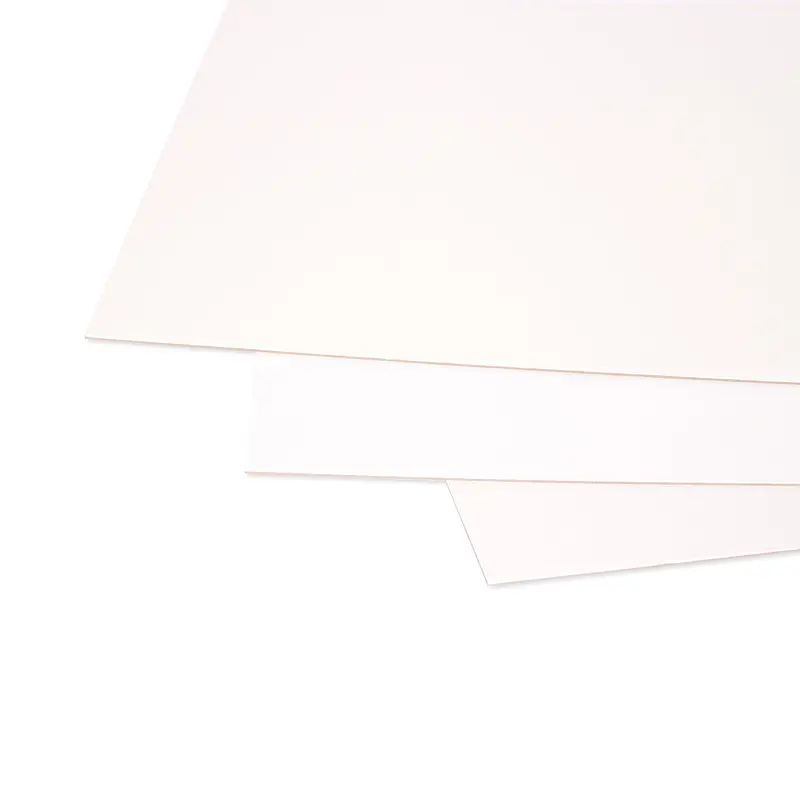 Illustration cardboard - 20 X 30 in