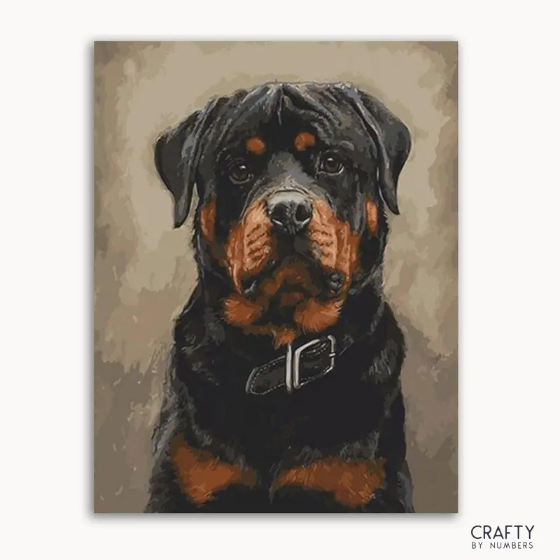 Rottweiler Dog