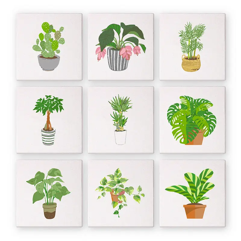 Houseplant Haven (Set of 9)