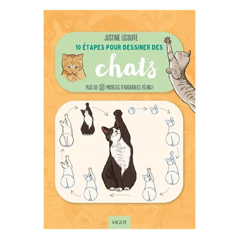 10 tapes pour dessiner des chats - French Ed