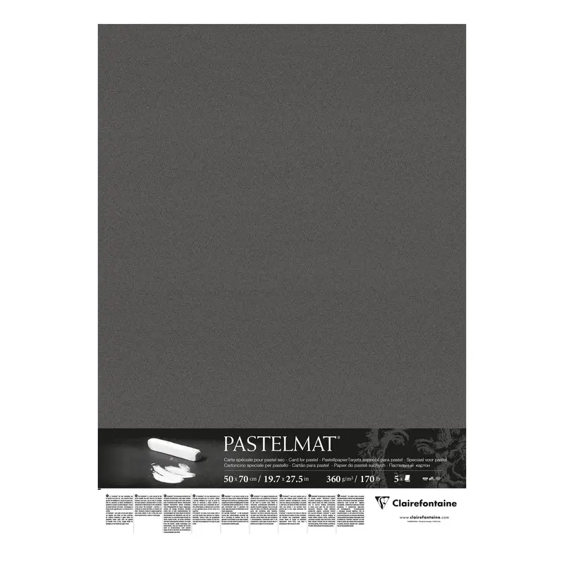 Pastelmat Sheet : 50 x 70 cm - Brown