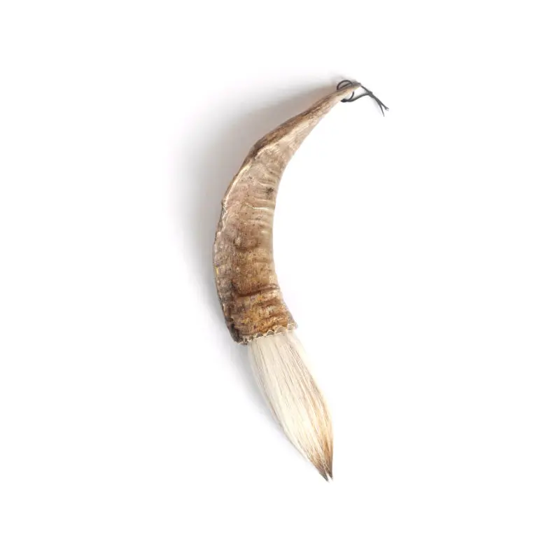 Buffalo horn with baby goat hair