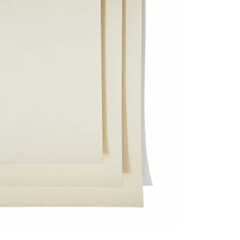 Premium Sanded Pastel Paper  Sheets