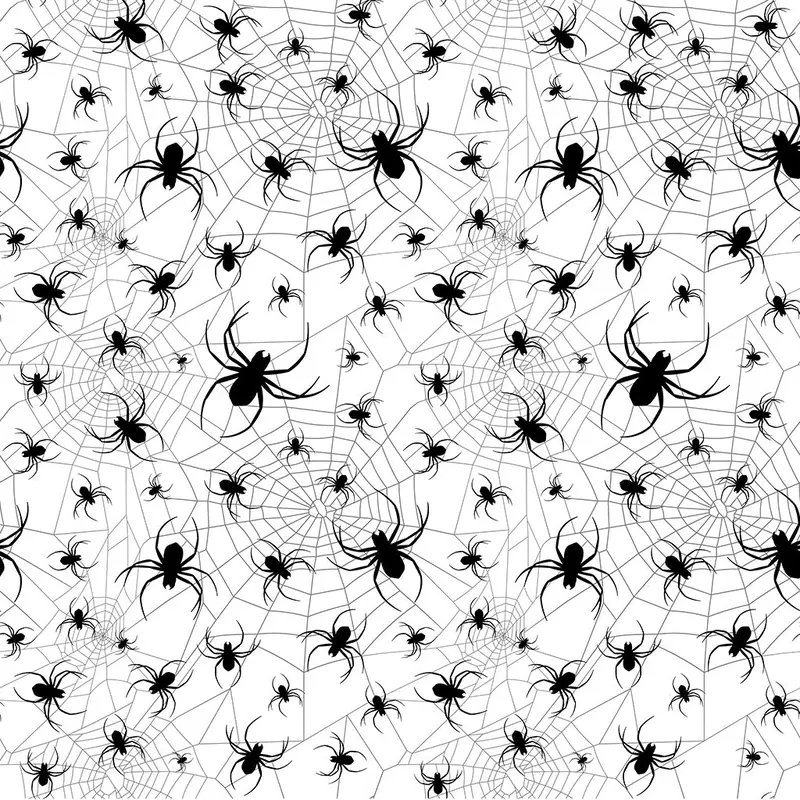 Underglaze Transfer - Spider Web