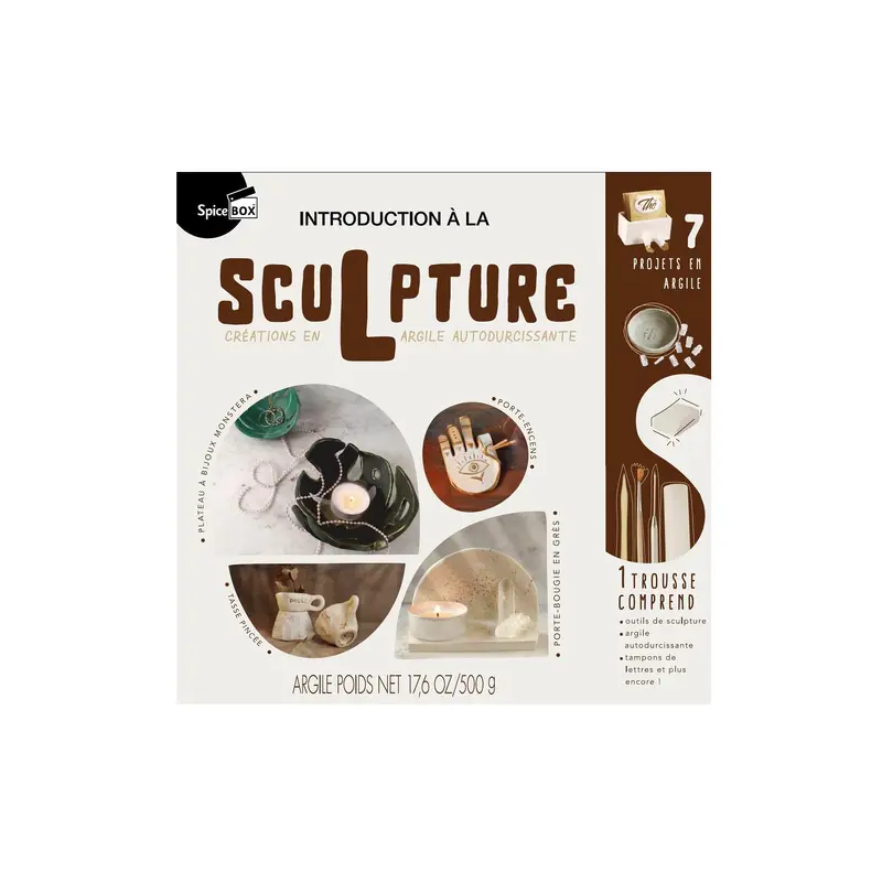 Introduction  la sculpture - French