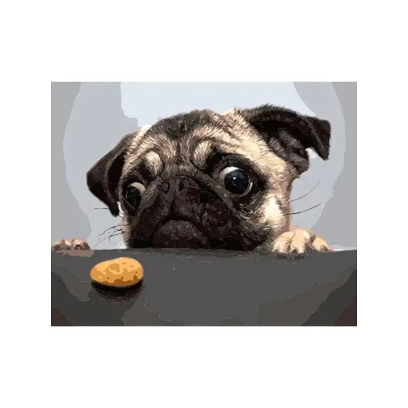 A Dog Want To Eat A Chips