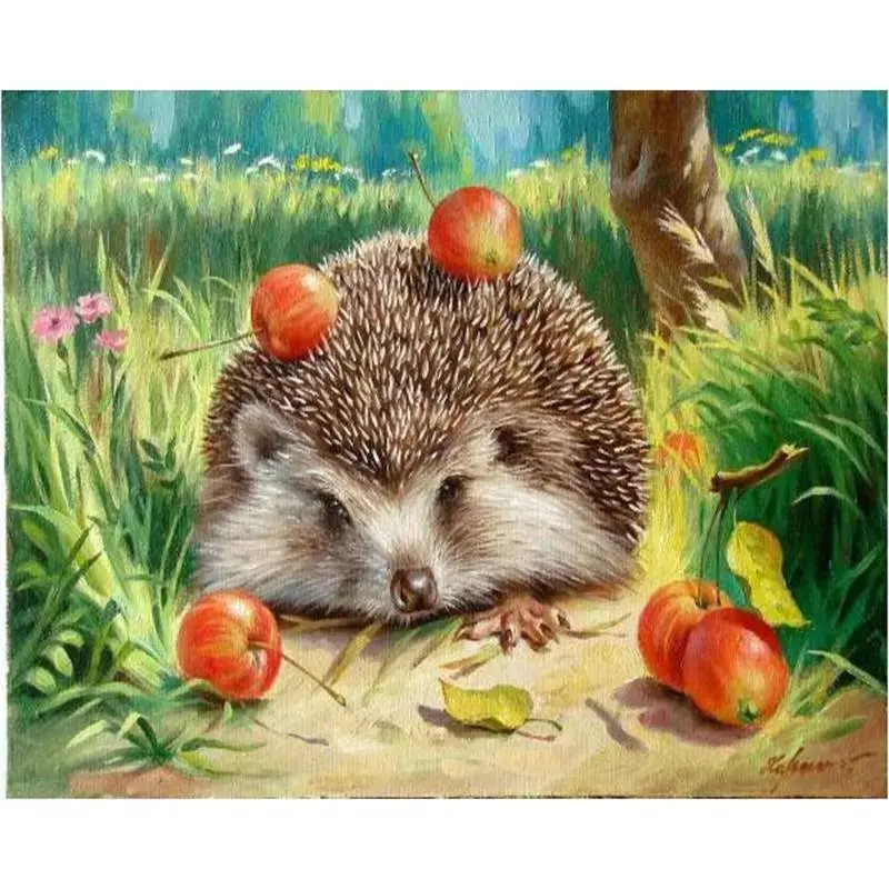 Cute Hedgehog