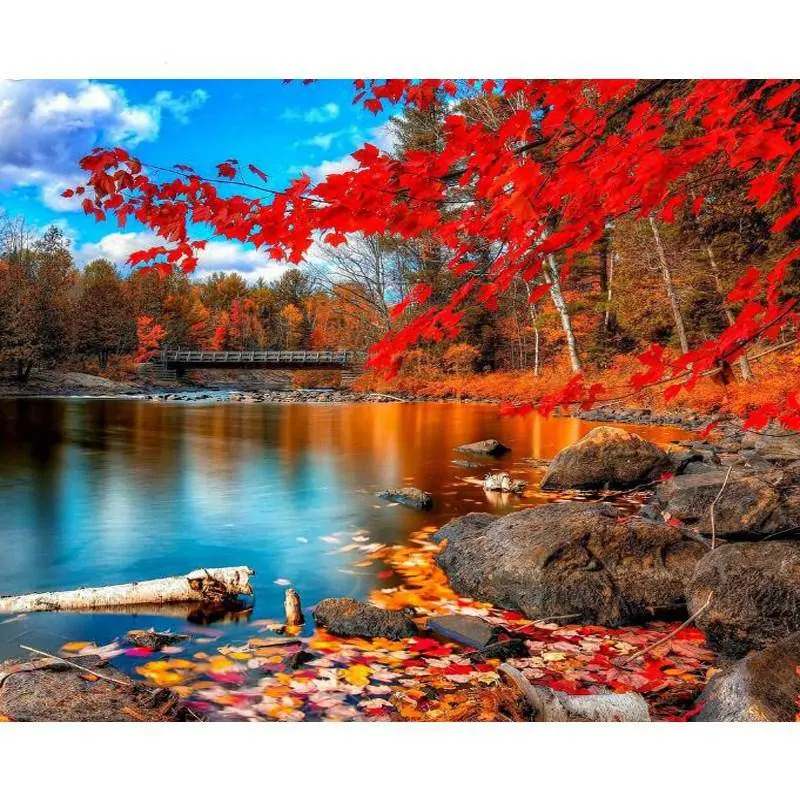 Fall Near A Lake