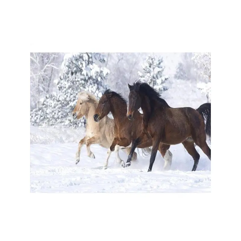 Three Horses In The Snow