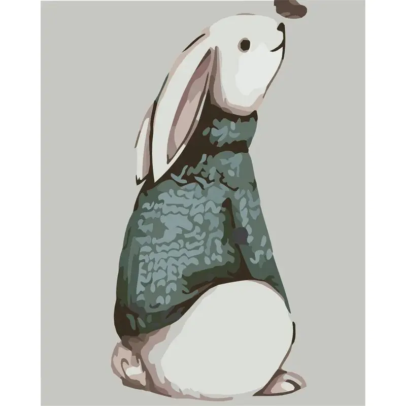 A Shirt Wearing Rabbit