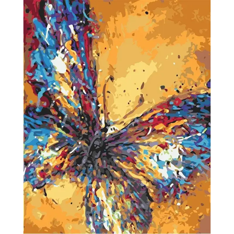 Beautiful Colorful Butterfly