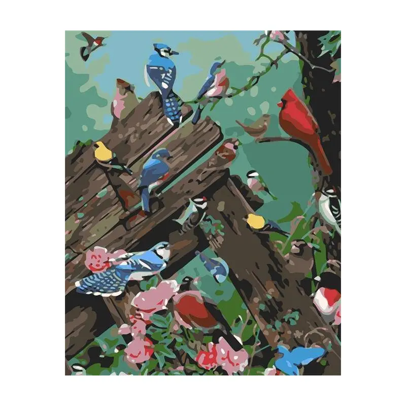 Colorful Birds party