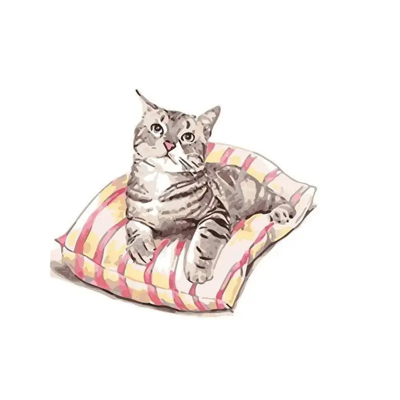 Cat Sitting On a Pillow