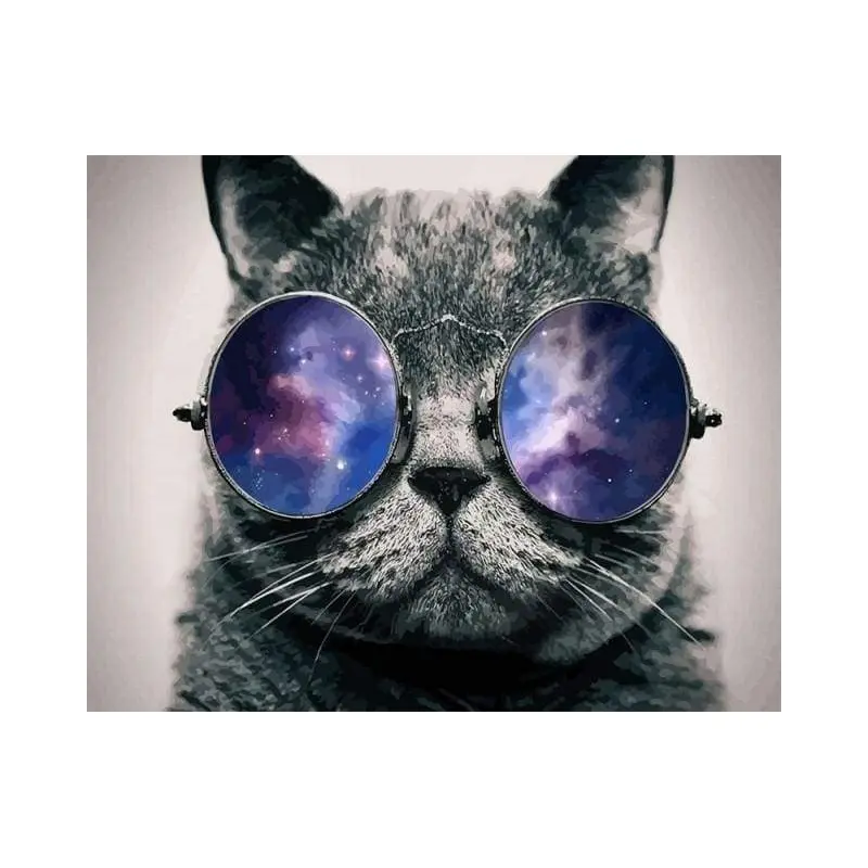Cat with Sunglasses