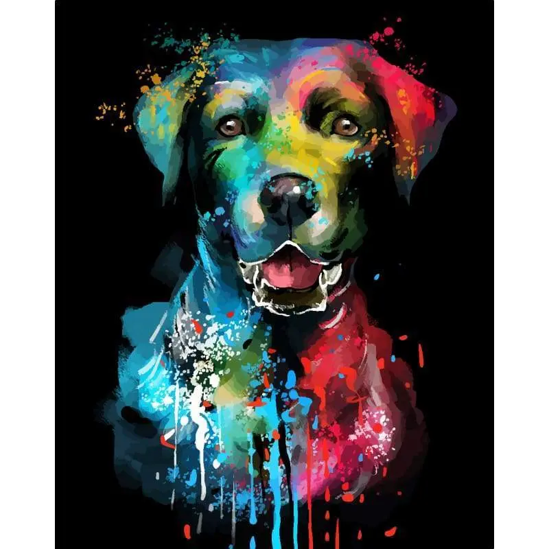Dog Color Fashion Portrait