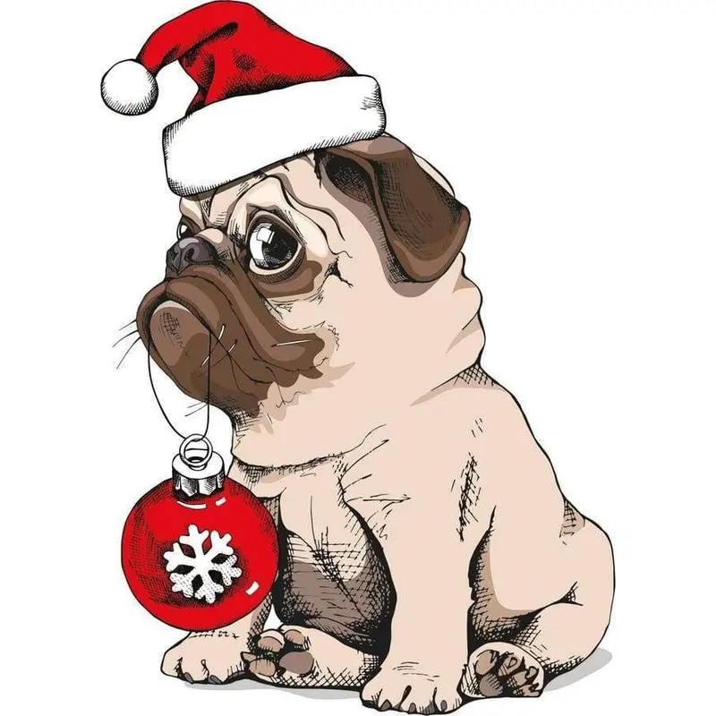 Dog during Christmas