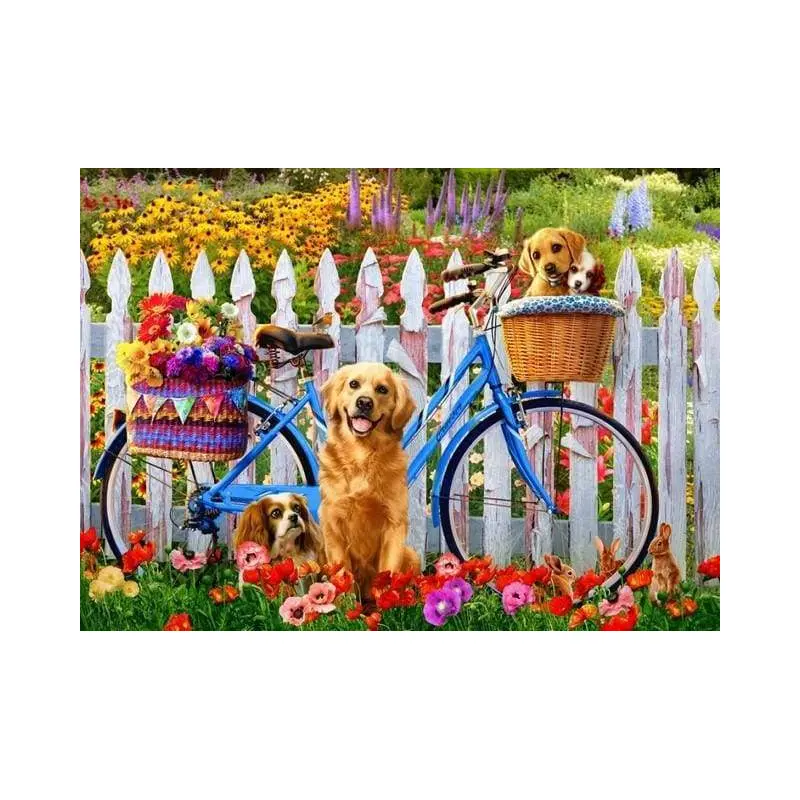 Dogs and Bicycles