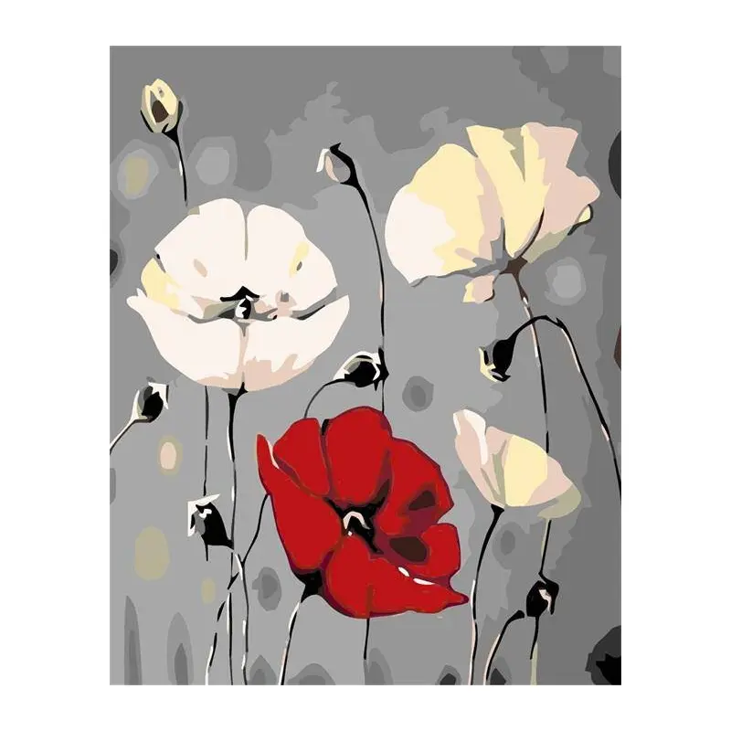 Red and White Flowers