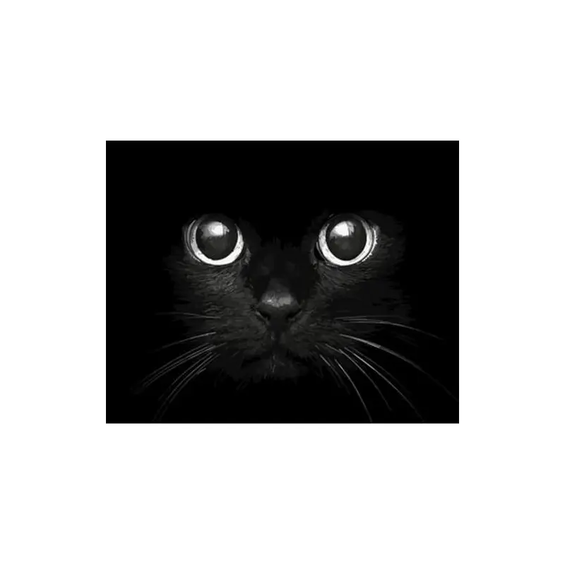 Black Cat Head
