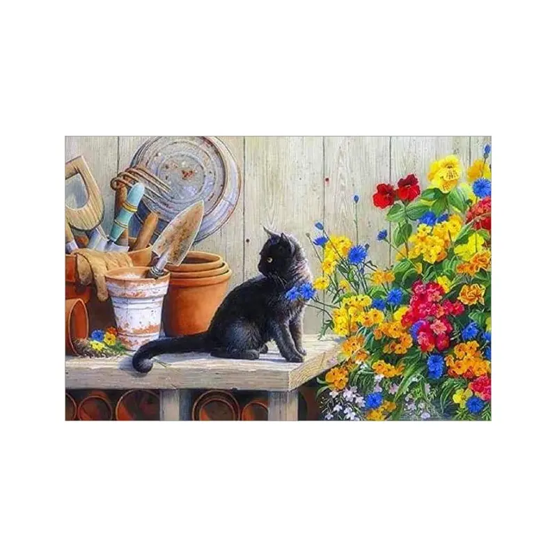 Black Kitten In The Garden