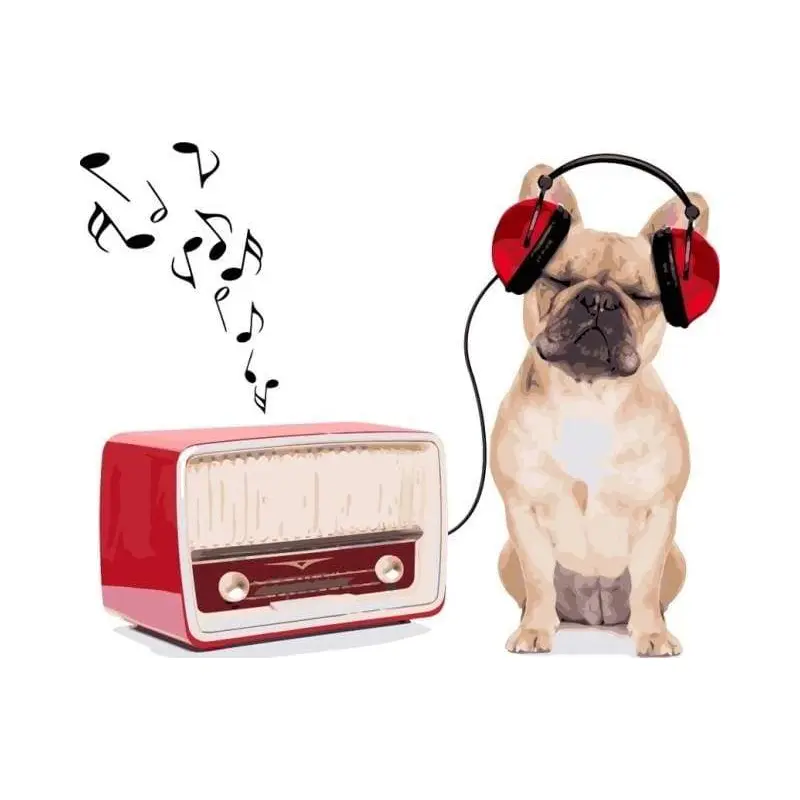Dog Listening to Music