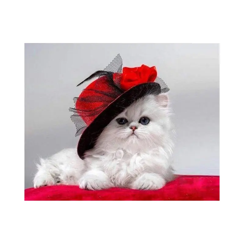 Red Hat Cat