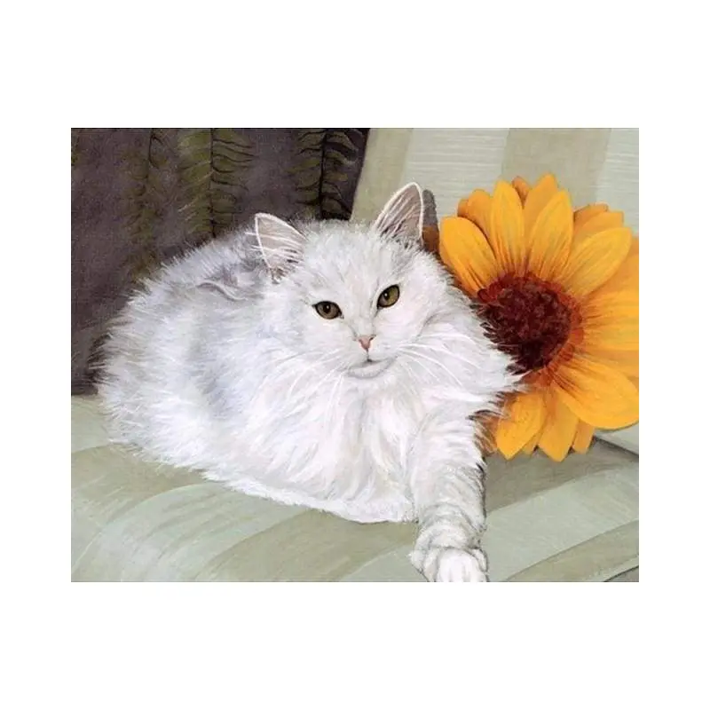 White Cat and Sunflower
